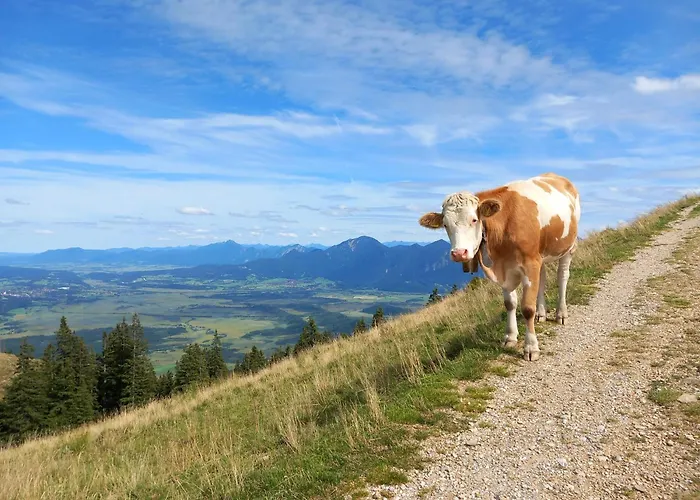 Ammergauer Vier Jahreszeiten