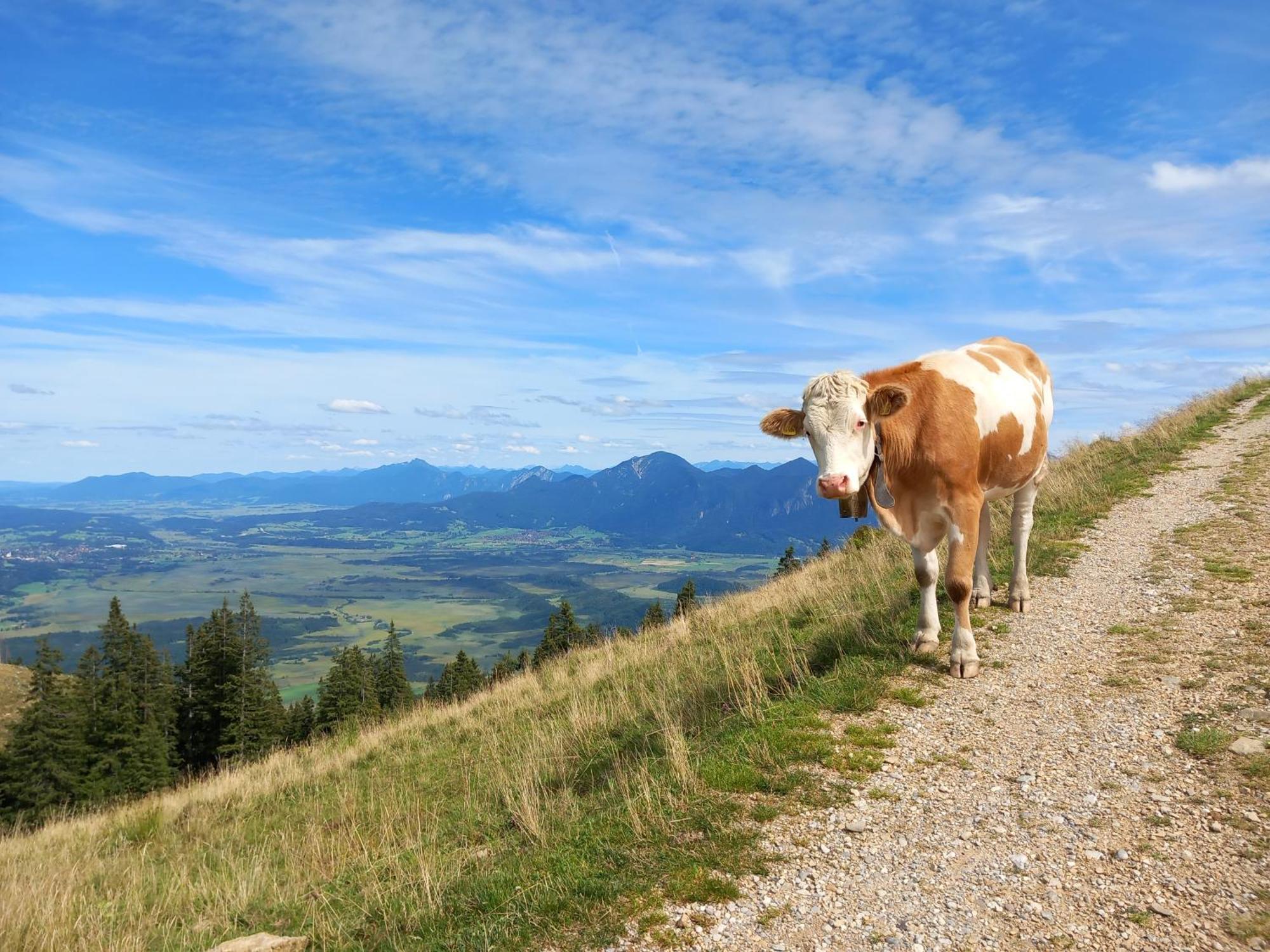 Ammergauer Vier Jahreszeiten Bad Kohlgrub